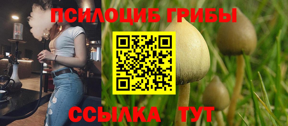 Псилоцибиновые грибы прущие грибы  Вход с VPN  Магнитогорск 